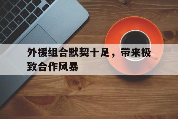 外援组合默契十足，带来极致合作风暴的简单介绍